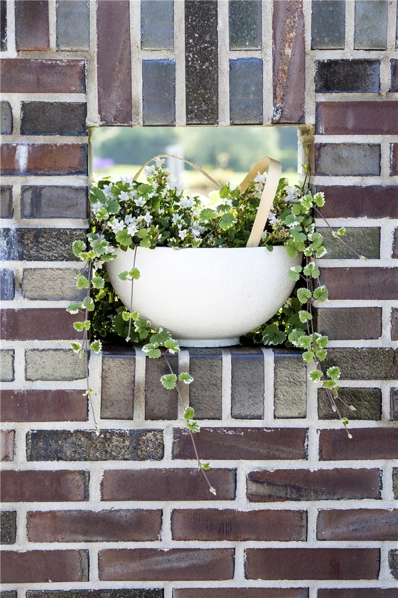 Kübelpflanzen einräumen - Gartencenter Heuschkel
