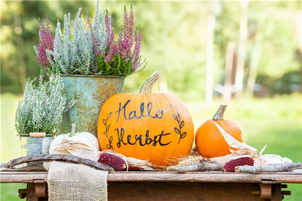 Herbst auf den Balkon holen