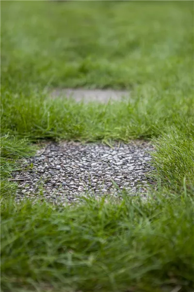 Wege im Garten