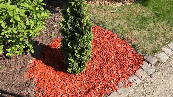 Mulch - Einsatz im Garten (thumbnail)
