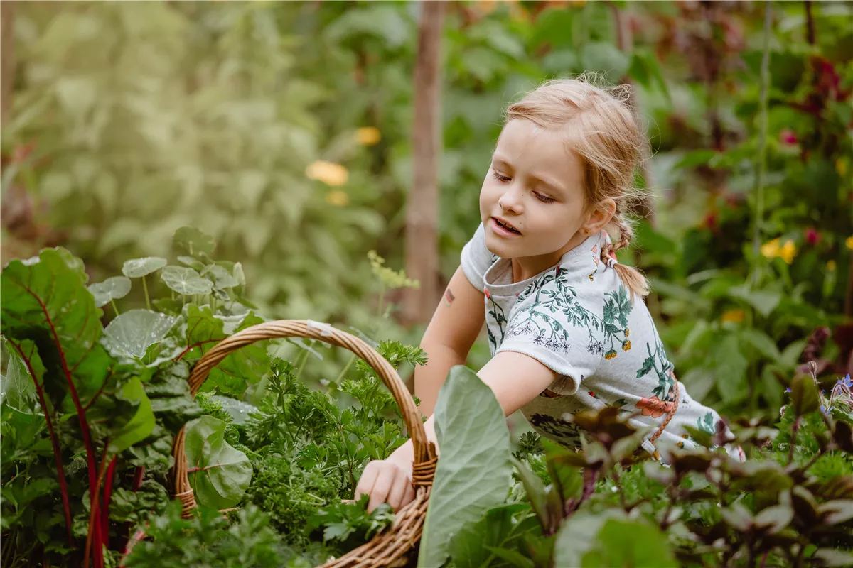 Jetzt kann geerntet werden! - Gartencenter Heuschkel