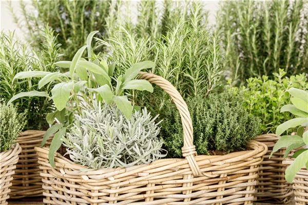 Gartenzubehör – Helfer bei der Gartenarbeit