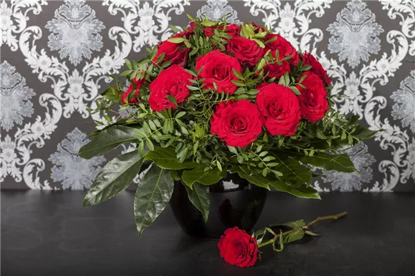 Rosa, rot