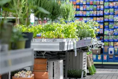 Gartencenter