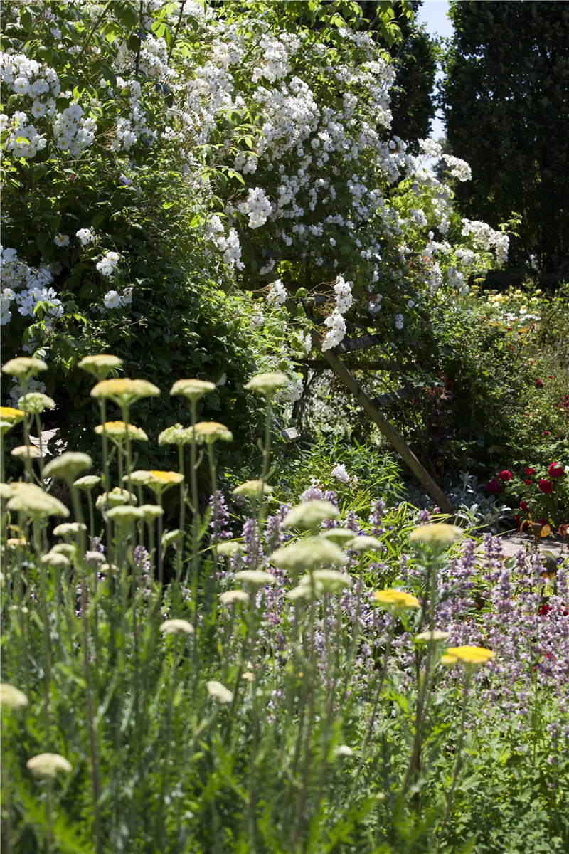 Lauschige Ecken im Garten - Gartencenter Heuschkel