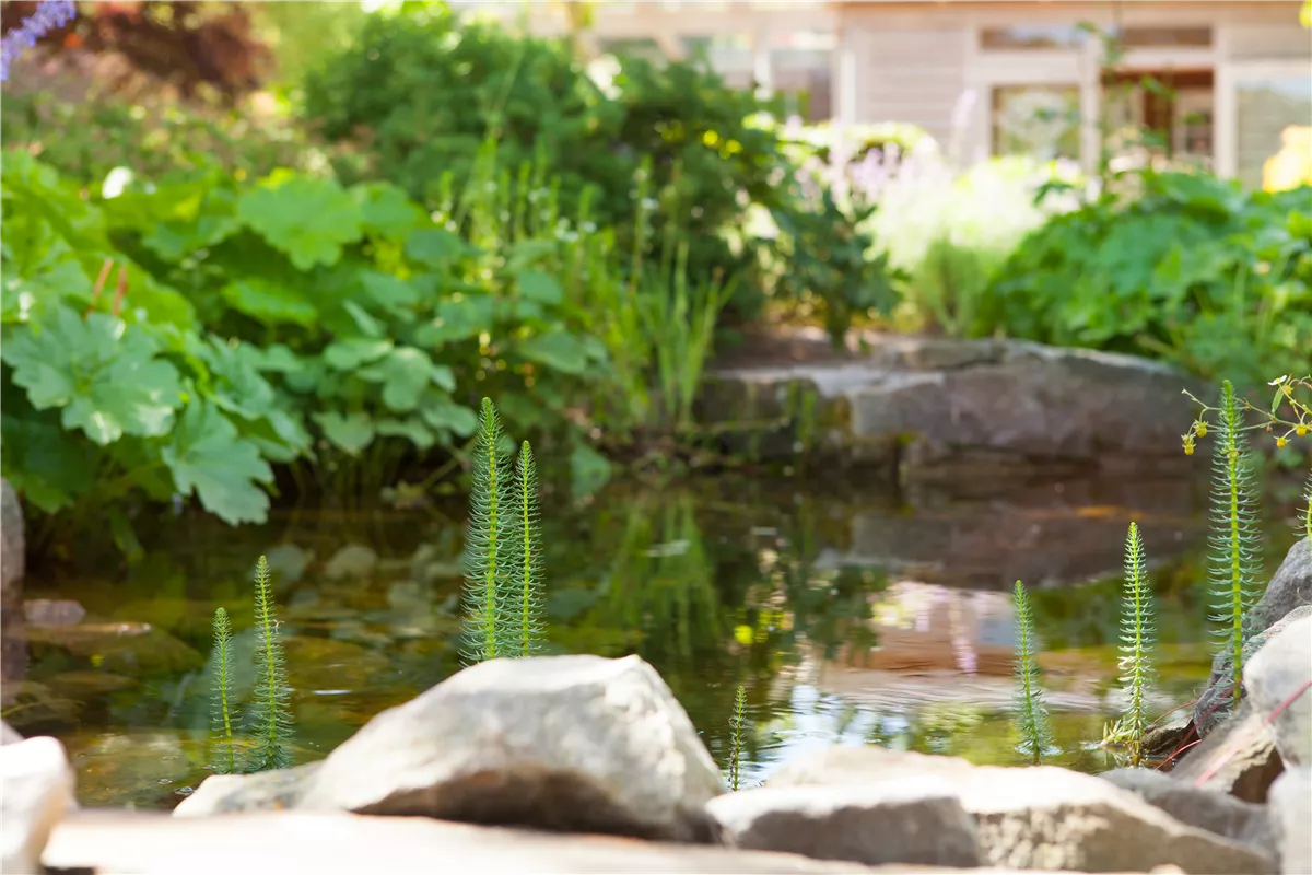 Sitzgelegenheit, Wasserfall oder Dekoelement - Gartencenter Heuschkel