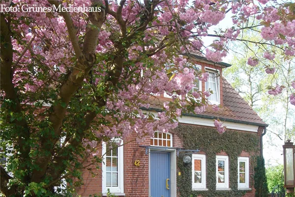 Grüner Daumen Tipp April 2019