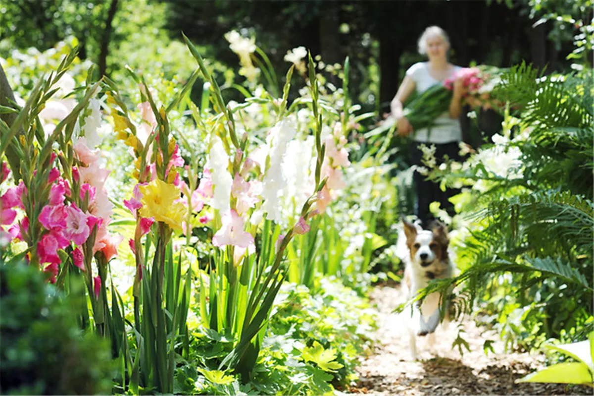 Schöne Blumen aus dem eigenen Garten - Gartencenter Heuschkel