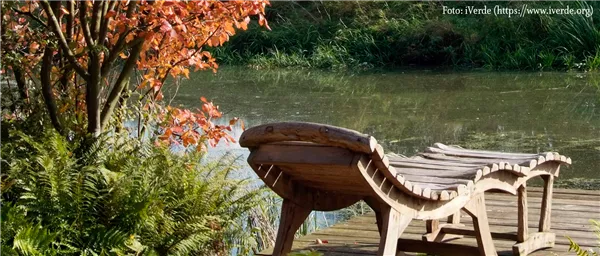 Pflanz den goldenen Herbst - farbenfroher Spätsommer