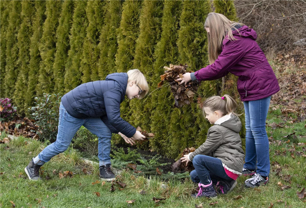 Winterschutz für Kübelpflanzen - Gartencenter Heuschkel