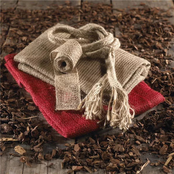Gefahr im Winter: Frosttrocknis