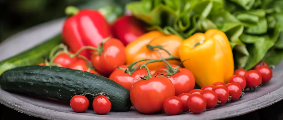 Gartentipps im Juli - Gartencenter Heuschkel