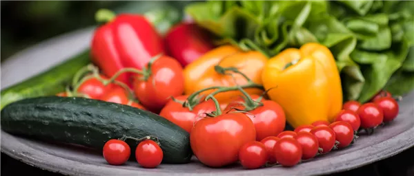 Gartentipps im Juli 2026