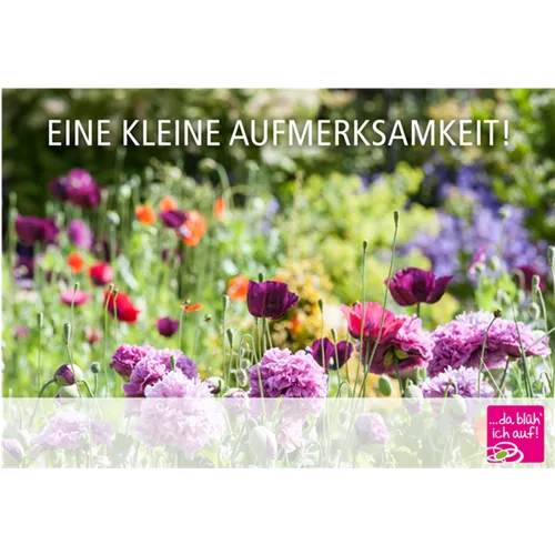 Online-Gutschein