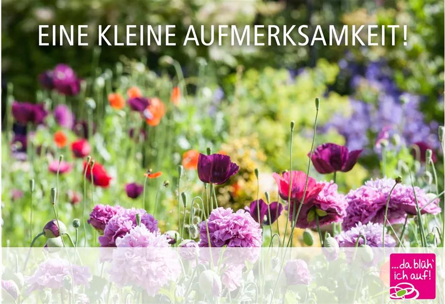 Individualisieren und direkt per E-Mail erhalten! 