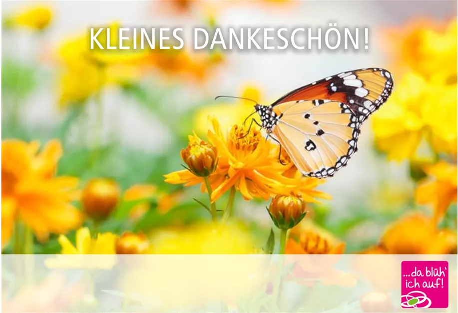 Individualisieren und direkt per E-Mail erhalten! 