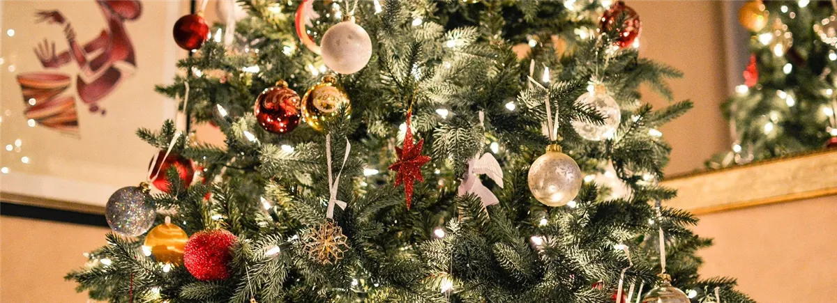 Gartenkalender Dezember - Gartencenter Heuschkel
