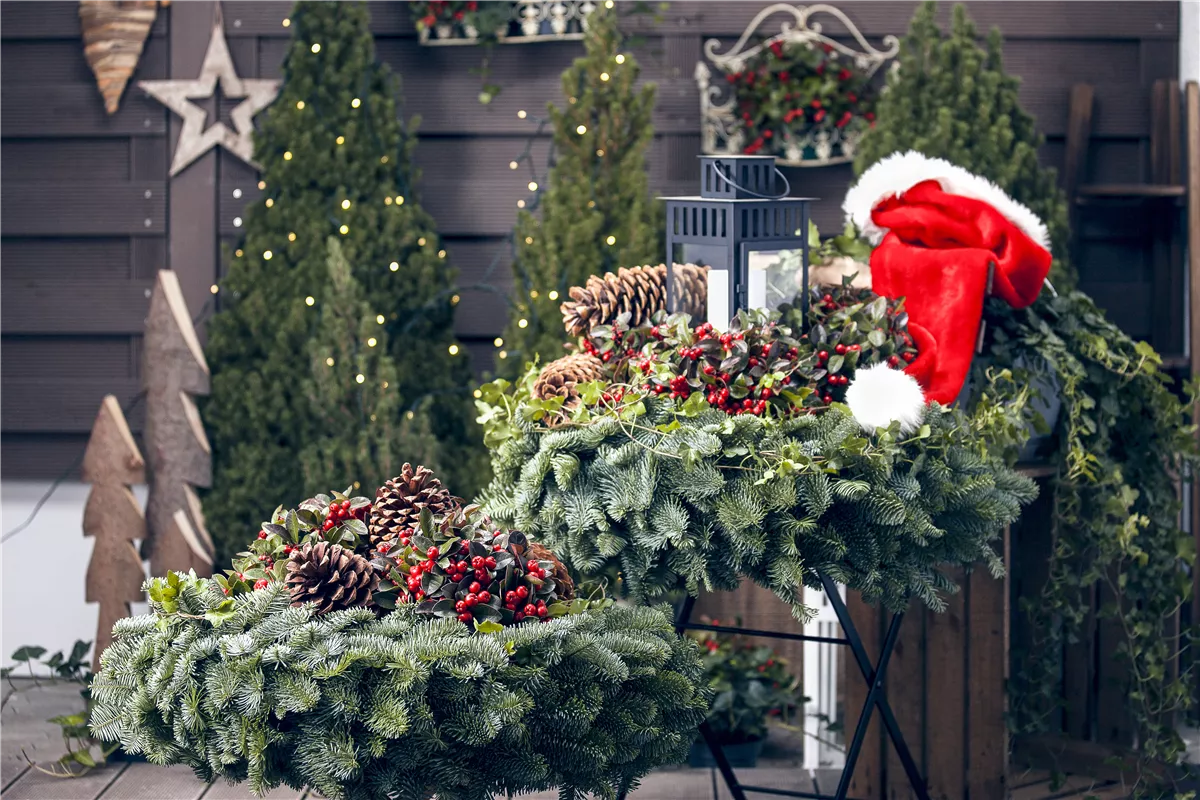 Gartentipps im November - Gartencenter Heuschkel