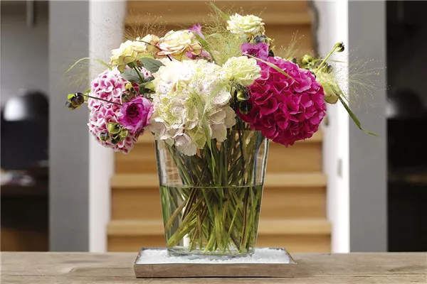 Lange Haltbarkeit für Blumensträuße