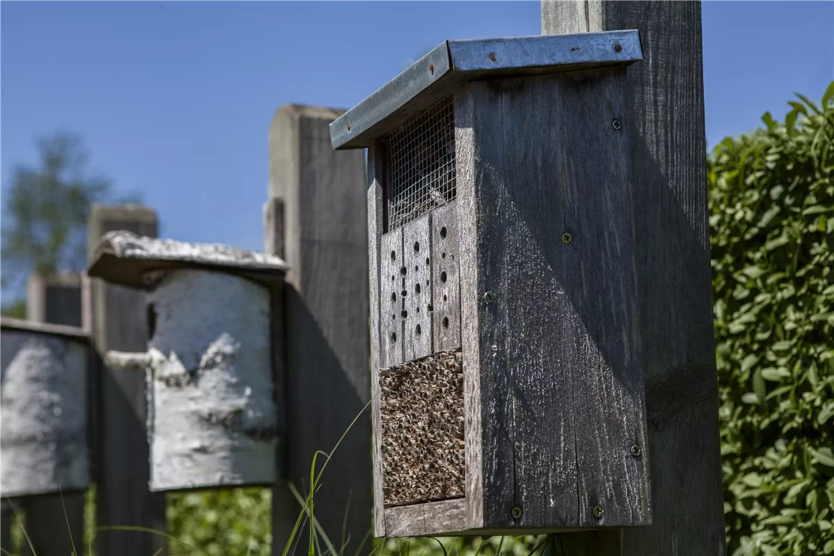 Bauen Sie ein Insektenhotel - Gartencenter Heuschkel