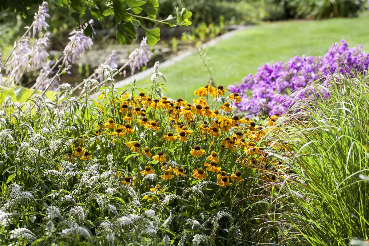 Frühjahrsputz im Staudenbeet - Gartencenter Heuschkel
