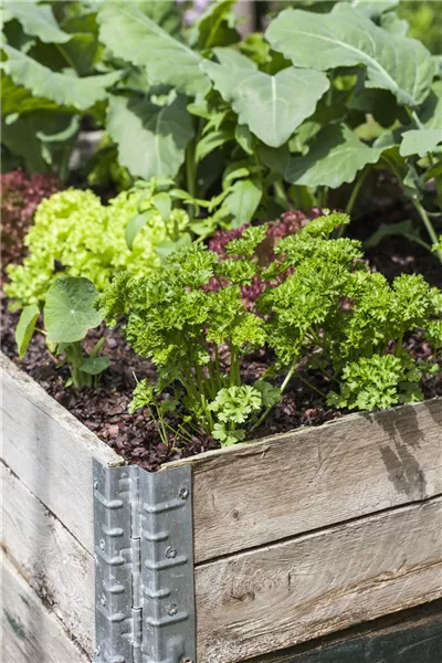 Das DIY-Hochbeet