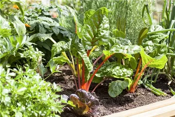 Beet mit Brettern schonen