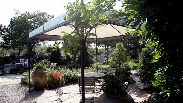 Gartengestaltung - Mediterraner Garten (thumbnail)