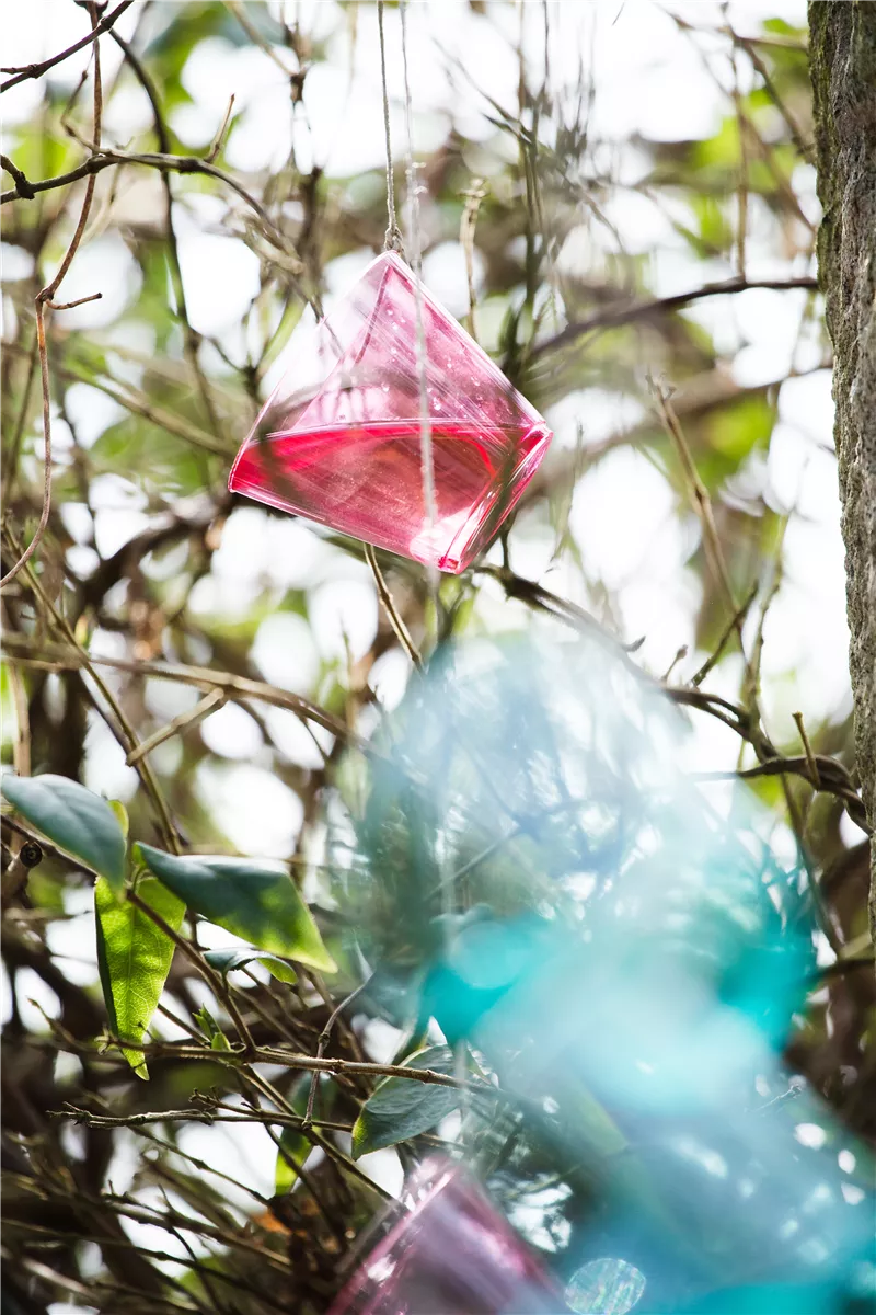 Mit Regenwasser eine Freude machen - Gartencenter Heuschkel